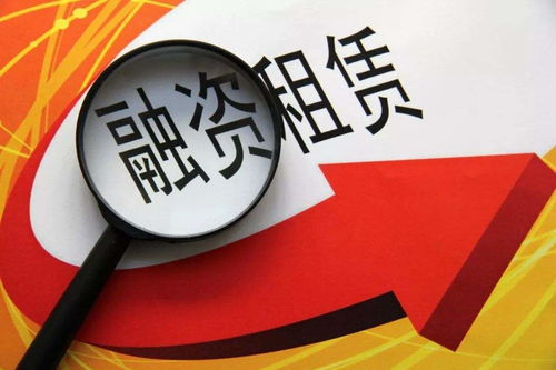 企业融资实用手册 抵押、典当与创新筹资策略